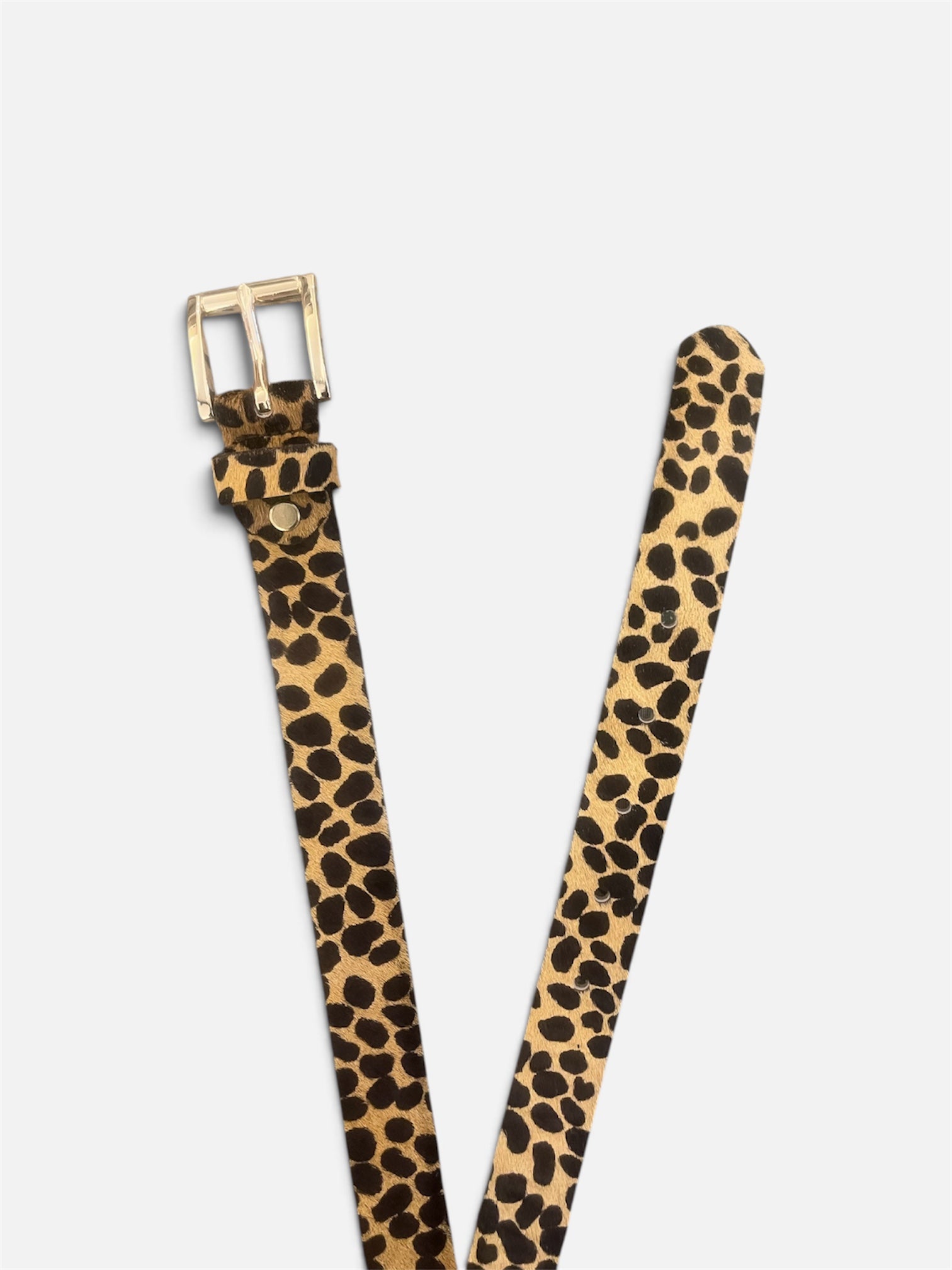 Cinturón Leopardo