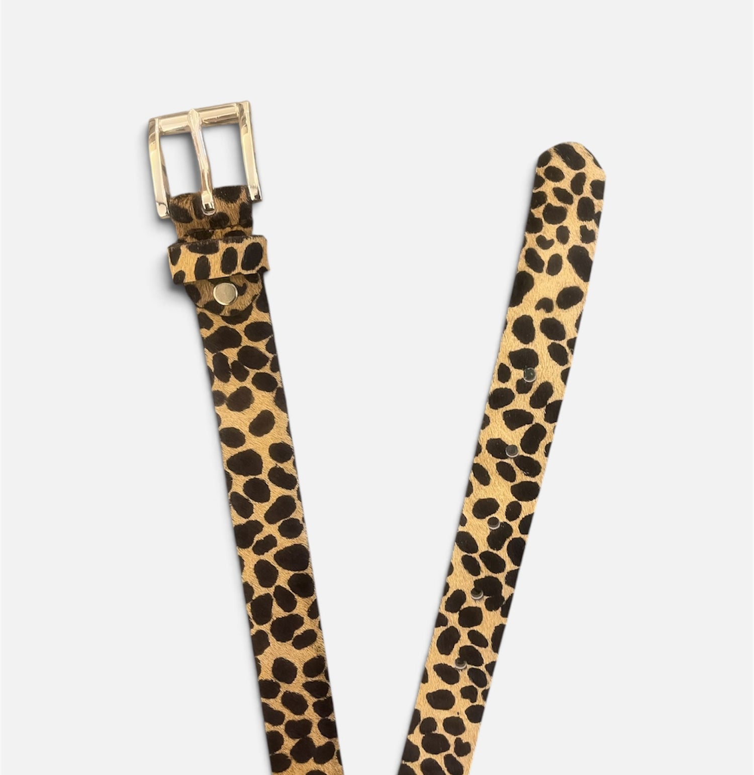 Cinturón Leopardo